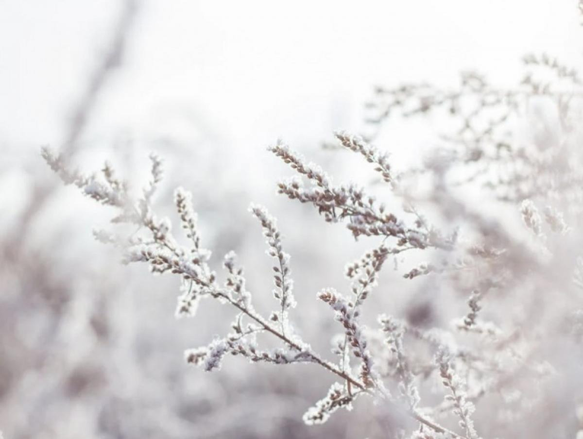 Ирэх арав хоногт цаг агаар ямар байх вэ